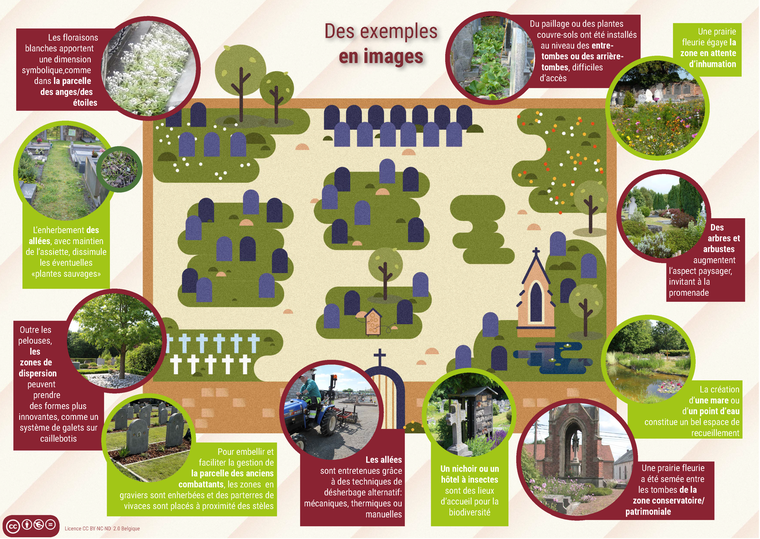 Plan d'un cimetière sans pesticides selon Adalia